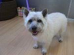 2012-09-05 14.08.45.jpg